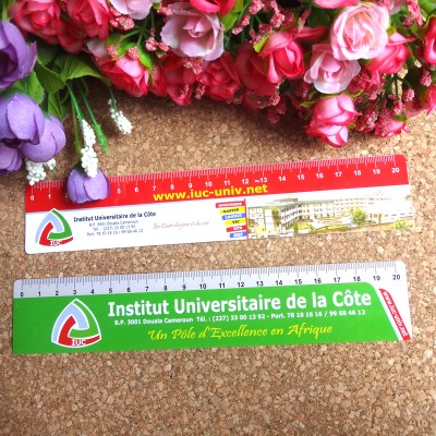 Made in China custom making plastic flexible scale ruler